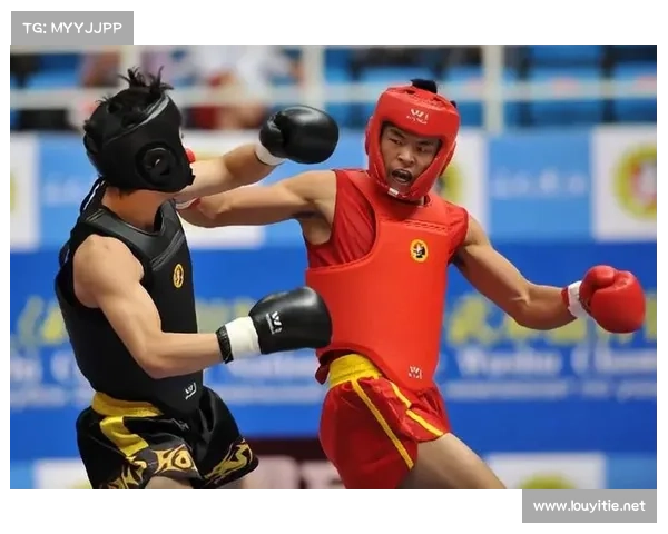 2017年散打巅峰赛事全记录预选赛至总决赛激烈角逐荣耀时刻回顾与分析